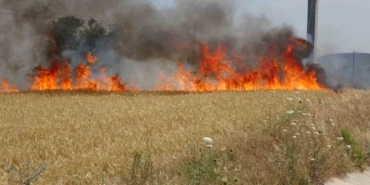 Çanakkale Valiliği’nden hava sıcaklığı ve orman yangını uyarısı