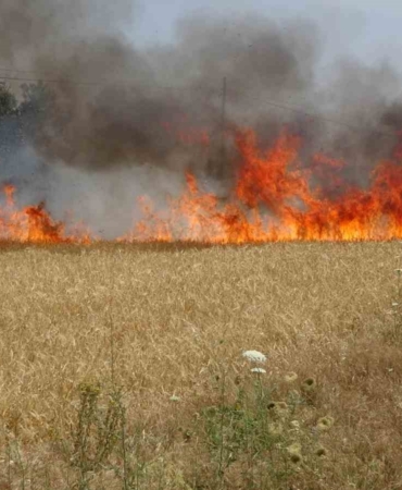 Çanakkale Valiliği’nden hava sıcaklığı ve orman yangını uyarısı
