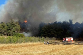 Çanakkale Valiliğinden yangın açıklaması