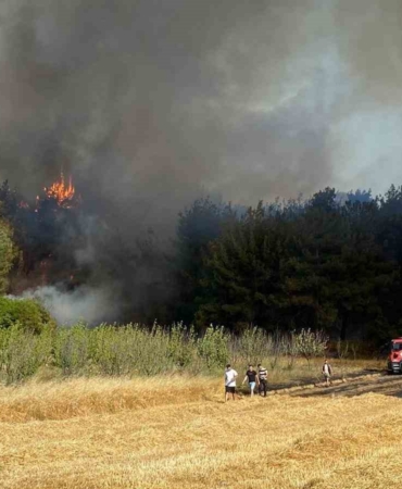 Çanakkale Valiliğinden yangın açıklaması