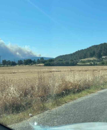 Çanakkale yangınında Anafartalar köyü boşaltıldı