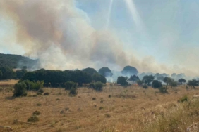 Çanakkale’de alevlerin tehdit ettiği köy boşaltıldı