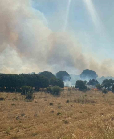 Çanakkale’de alevlerin tehdit ettiği köy boşaltıldı