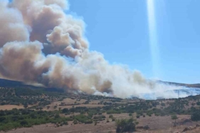Çanakkale’de çöplükte başlayan yangın ormanlık alana sıçradı