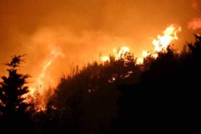 Çanakkale’de orman yangını devam ediyor