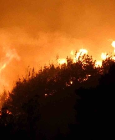 Çanakkale’de orman yangını devam ediyor
