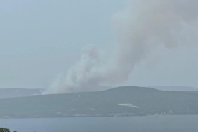 Çanakkale’de orman yangını