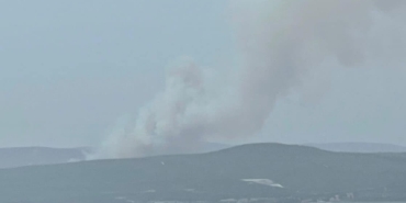 Çanakkale’de orman yangını