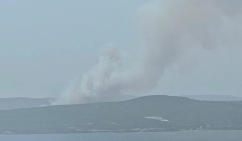 Çanakkale’de orman yangını
