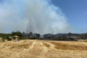 Çanakkale’de orman yangınına 9 uçak ve 5 helikopterle müdahale ediliyor