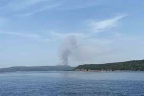 Çanakkale’de orman yangınına havadan ve karadan müdahale ediliyor