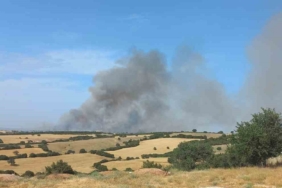 Çanakkale’de orman yangınına müdahale ediliyor