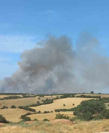 Çanakkale’de orman yangınına müdahale ediliyor