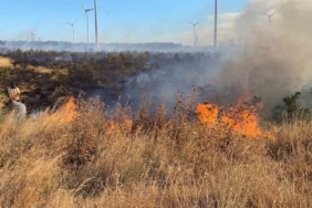Çanakkale’de tarım arazisinde çıkan yangın ormanlık alana sıçradı