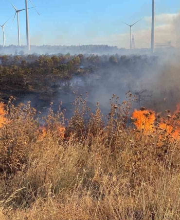 Çanakkale’de tarım arazisinde çıkan yangın ormanlık alana sıçradı