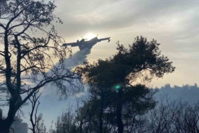 Çanakkale’deki orman yangını 8 saat sonra kontrol altına alındı