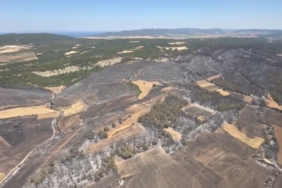 Çanakkale’nin ciğerleri yandı... Tam 952 futbol sahası büyüklüğünde