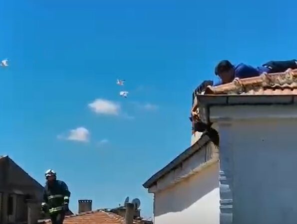 Çatıda ayağı ipe dolanan kargayı polis ekibi kurtardı