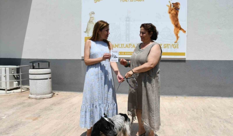 Cesur, Büyükşehir’in şefkatli ellerinde iyileşti