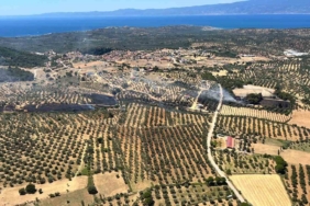 Çöplükte çıkan yangın zeytinlik alana sıçradı