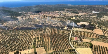 Çöplükte çıkan yangın zeytinlik alana sıçradı