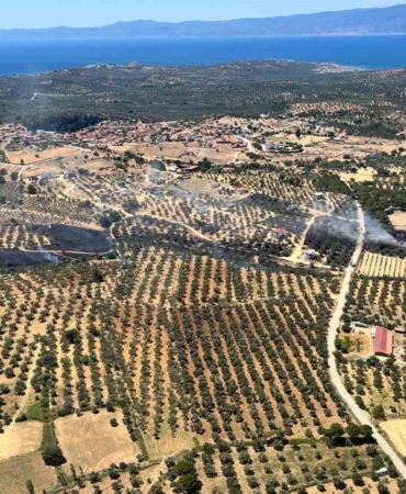 Çöplükte çıkan yangın zeytinlik alana sıçradı