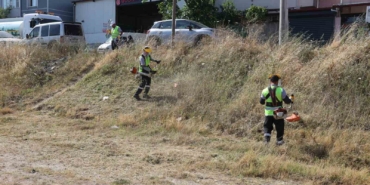 Darıca’da yaz temizliği başladı