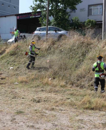 Darıca’da yaz temizliği başladı