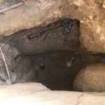 Define avcılarına jandarmadan suçüstü