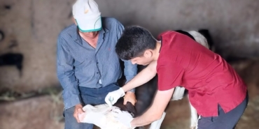 Demirköy’de buzağı aşılama ve küpe takma çalışmaları