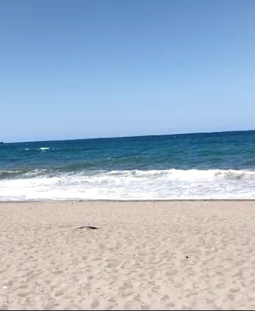 Denize yasak gelince sahil boş kaldı: Gördüğü manzarayı spiker gibi anlattı