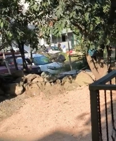 Düğün magandaları kamerada