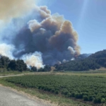 Eceabat’taki orman yangını devam ediyor