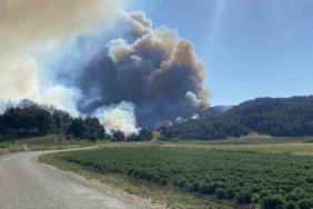 Eceabat’taki orman yangını devam ediyor