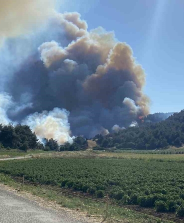 Eceabat’taki orman yangını devam ediyor