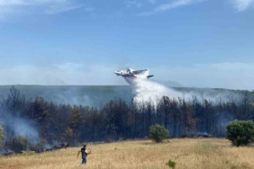 Eceabat’taki orman yangını devam ediyor