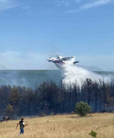 Eceabat’taki orman yangını devam ediyor
