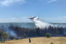 Eceabat’taki orman yangını kontrol altına alındı