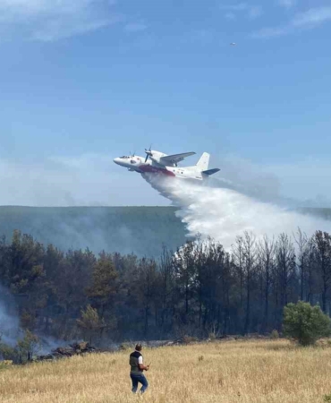 Eceabat’taki orman yangını kontrol altına alındı