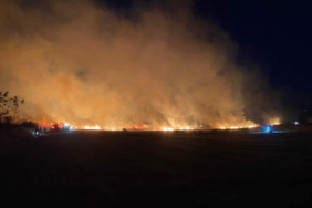 Edirne’de 100 dönüm ekili tarım arazisi yandı