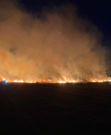 Edirne’de 100 dönüm ekili tarım arazisi yandı