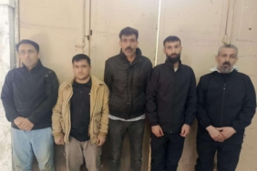 Edirne’de 5 düzensiz göçmen yakalandı