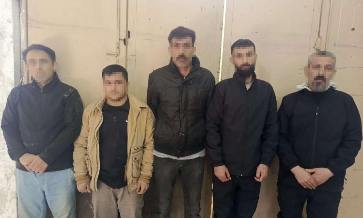Edirne’de 5 düzensiz göçmen yakalandı