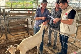 Edirne’de kurban satış yerlerinde denetim