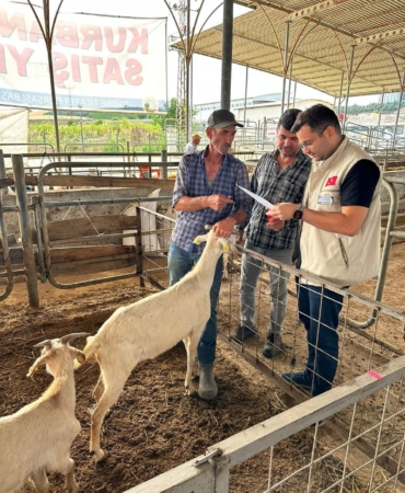 Edirne’de kurban satış yerlerinde denetim