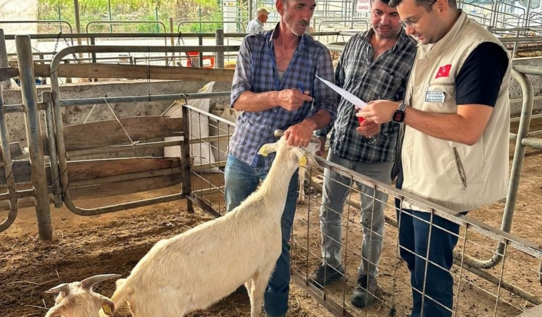 Edirne’de kurban satış yerlerinde denetim