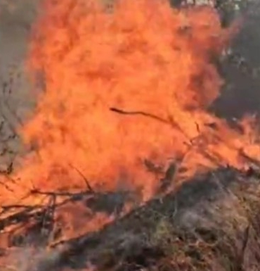 Edirne’de örtü yangını üç köye sıçradı: Tarlalar, ağaçlar, ahırlar alev alev yandı