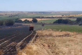Edirne’de tarım arazisinde başlayan yangın ormana sıçramadan kontrol altına alındı