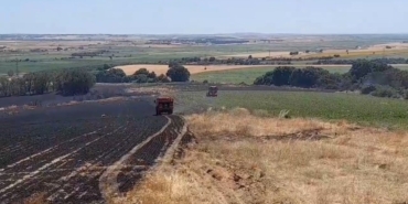 Edirne’de tarım arazisinde başlayan yangın ormana sıçramadan kontrol altına alındı
