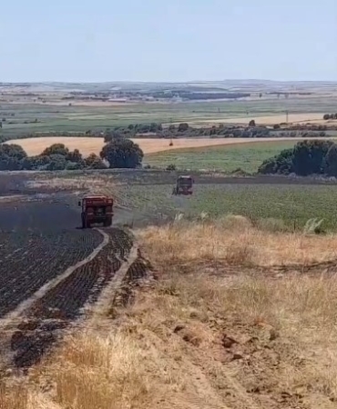 Edirne’de tarım arazisinde başlayan yangın ormana sıçramadan kontrol altına alındı
